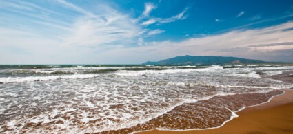 Ansedonia