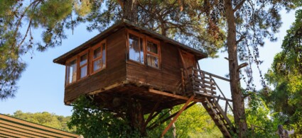 Treehouses in Tuscany: Unique Accommodation in Nature