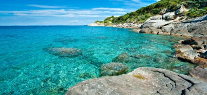 Best Beaches in Elba Island