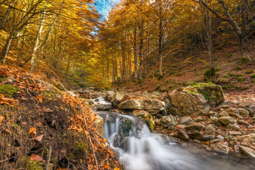 Orecchiella Park Orecchiella Park