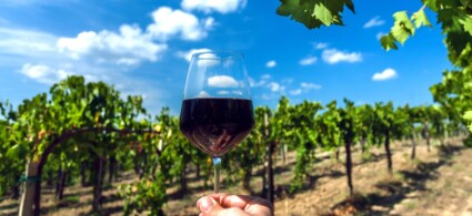 Chianti Classico Wine