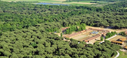 Parque de San Rossore