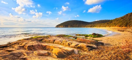 Où aller à la mer en Maremma