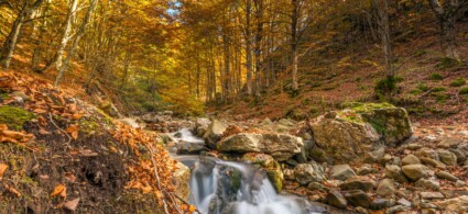 Parc de l’Orecchiella