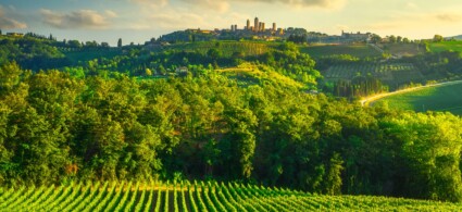 Tours et activités à Florence : visites guidées, dégustations et excursions