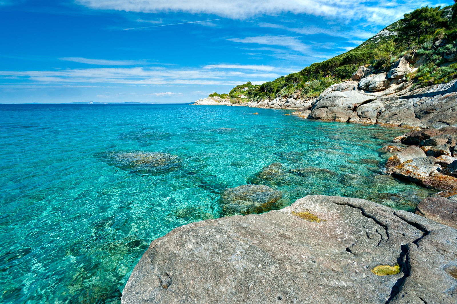 tour toscana e isola d'elba