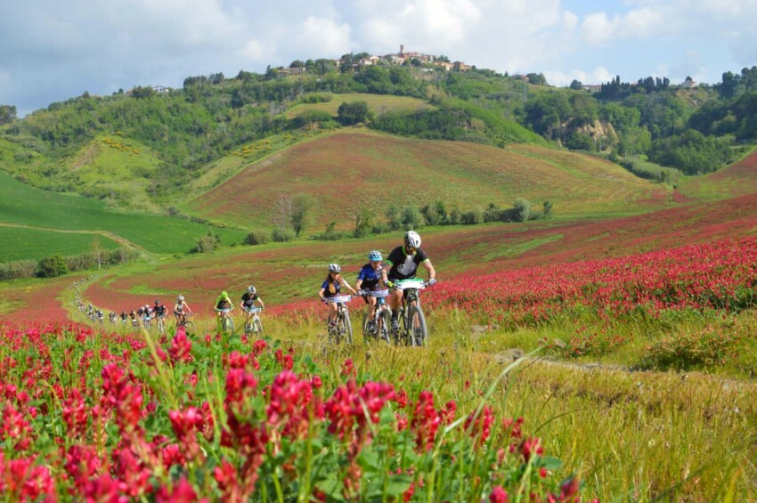 Parco della Valdera