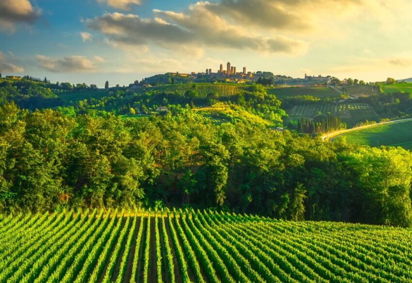 Tour e attività a Firenze: visite guidate, degustazioni, escursioni in giornata Tour e attività a Firenze: visite guidate, degustazioni, escursioni in giornata