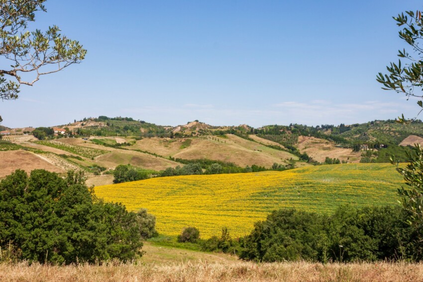 Parco fluviale dell’Alta Valdelsa